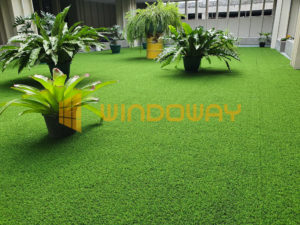 Laguna-Artificial-Grass-Philippines-Windoway-Winturf