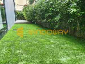 Silang-Cavite-Bermuda-Grass-Philippines-Windoway-Winturf