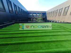 Batangas-Artificial-Grass-Philippines-Windoway-Winturf-